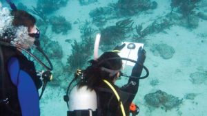 Underwater Navigator Diver